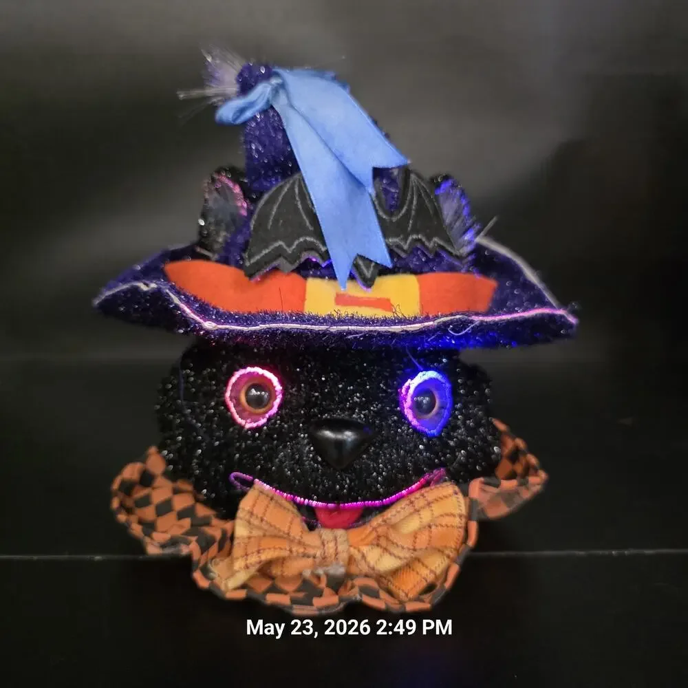 3pc Fiber Optic Halloween Pumpkin Black Cat 8